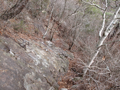 20140102hike (115)